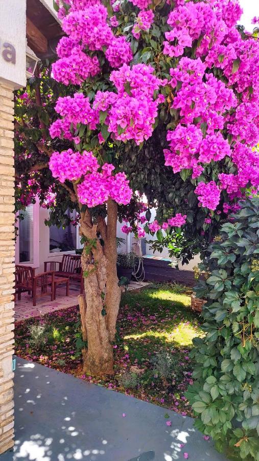 Holiday Home Zora: Family Retreat Near Kamenjak Nature Park Premantura Exterior photo